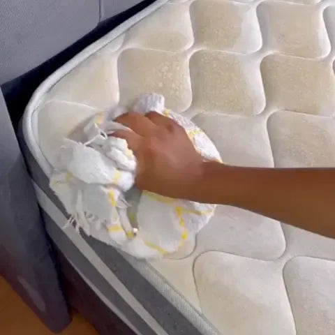 Encabezado