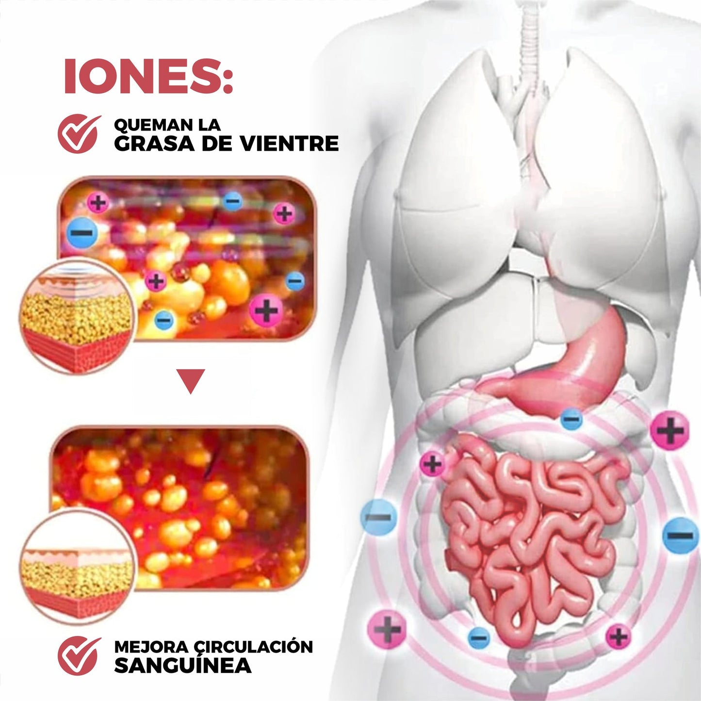 FAJA IONES - Moldea tu Figura con Comodidad y Tecnología Avanzada 🌟¡PRECIO EN OFERTA SOLO POR HOY!🕑